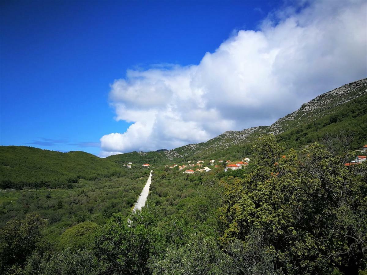 Countryside Vacation House Vitez Babino Polje Ngoại thất bức ảnh