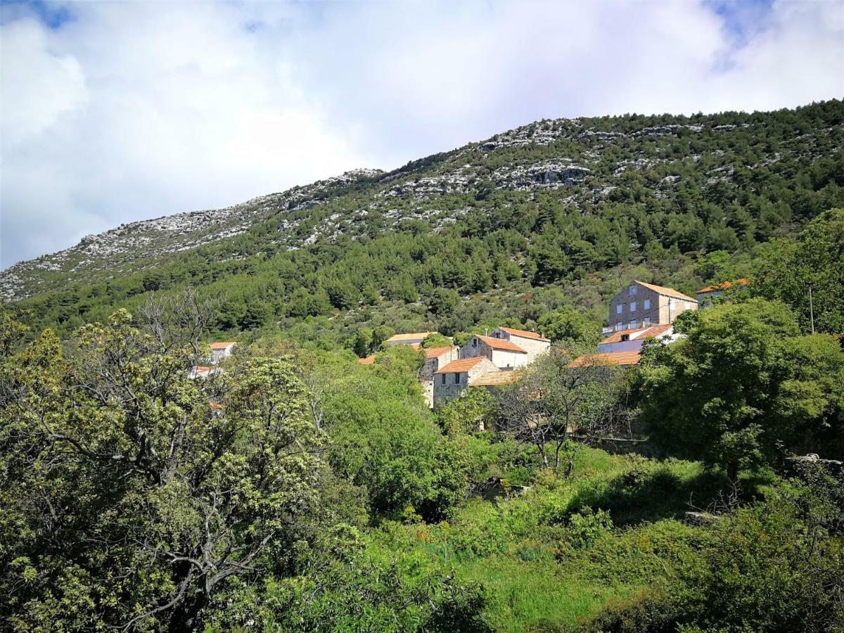 Countryside Vacation House Vitez Babino Polje Ngoại thất bức ảnh