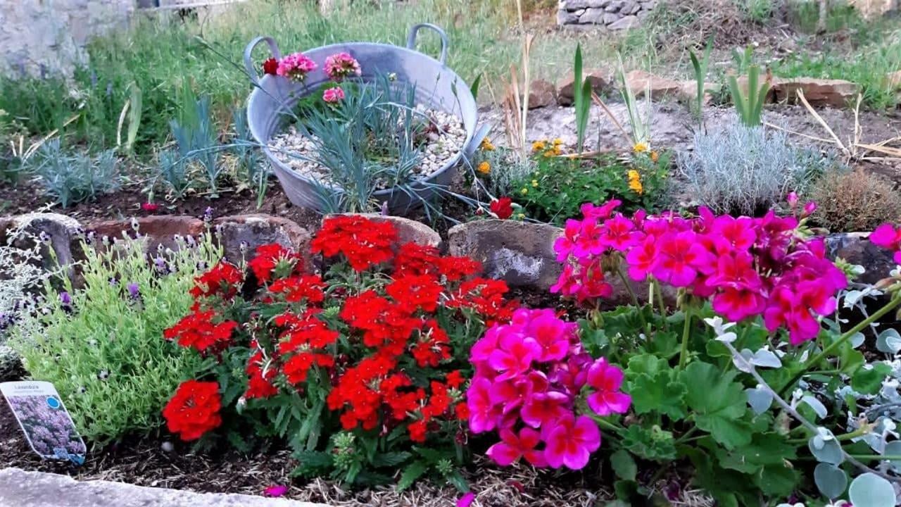 Countryside Vacation House Vitez Babino Polje Ngoại thất bức ảnh