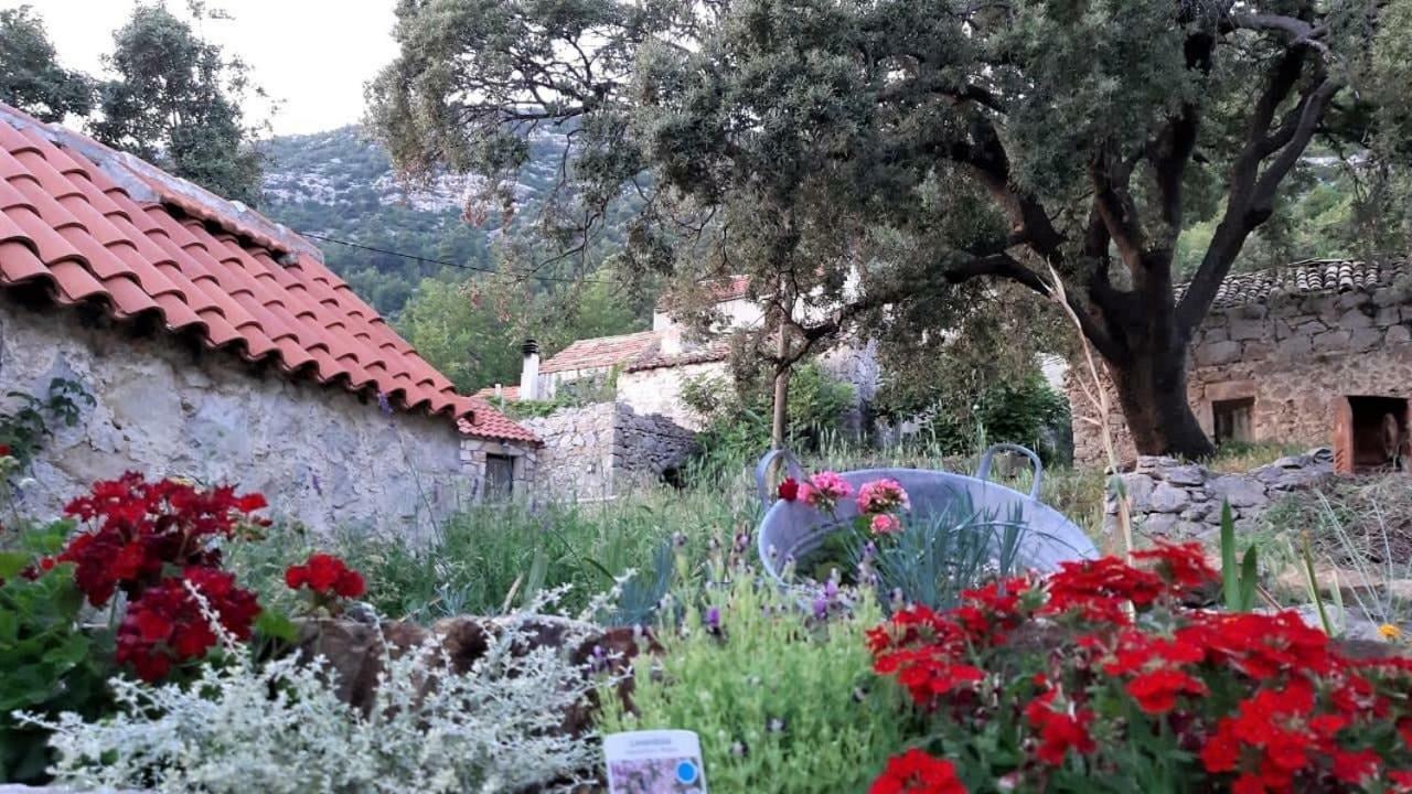 Countryside Vacation House Vitez Babino Polje Ngoại thất bức ảnh